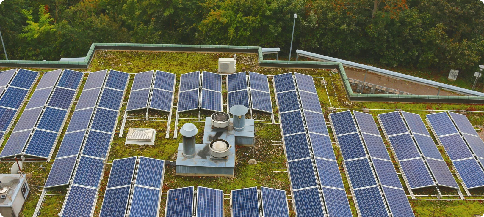 Green Roofing Systems 